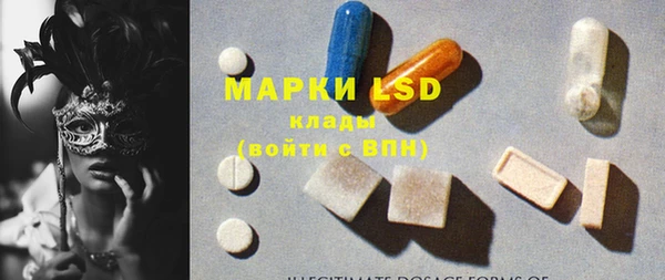 стафф Майский
